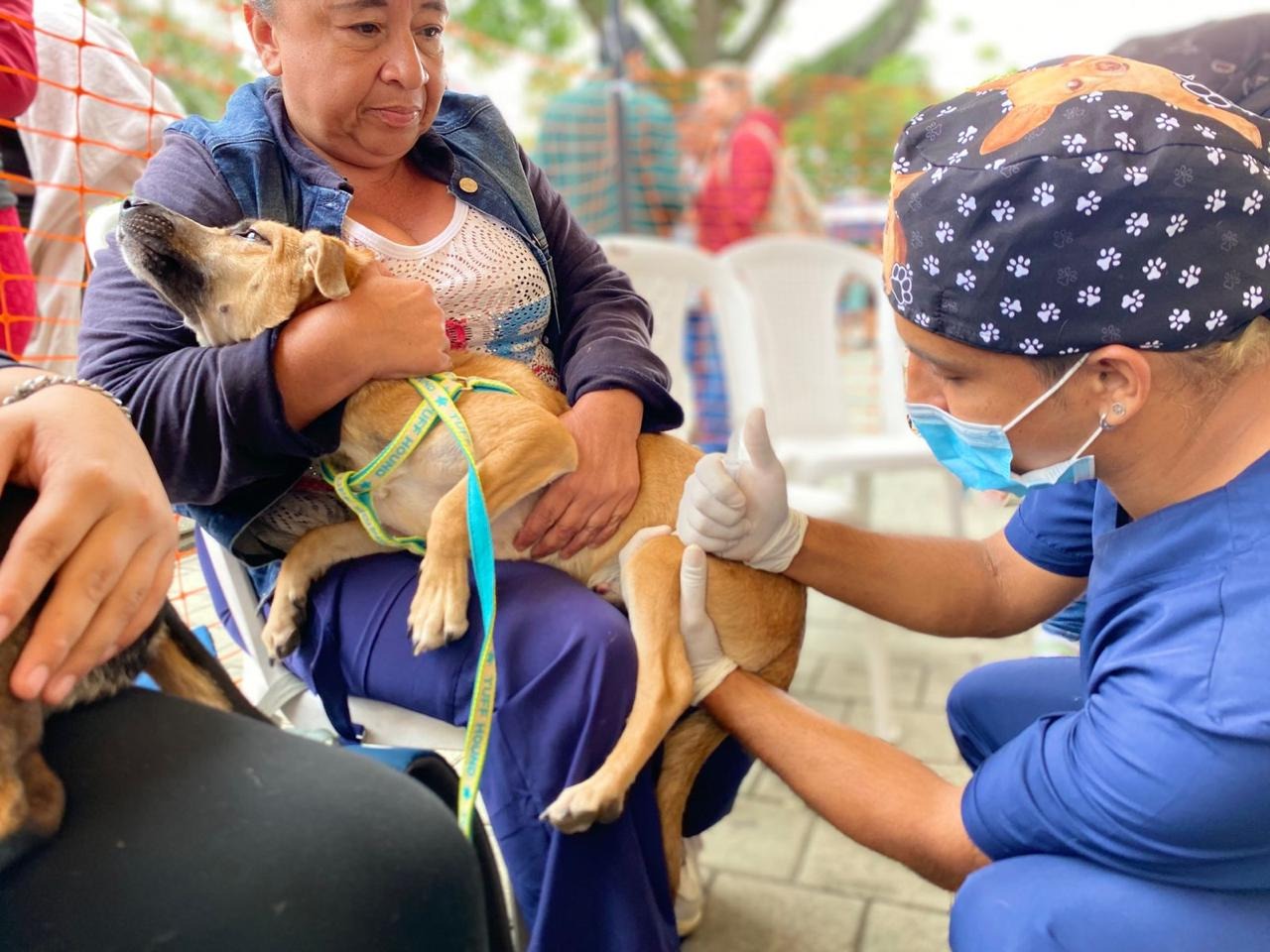 Gobernación y Universidad de Antioquia realizarán más de 23 mil esterilizaciones de caninos y felinos en 114 municipios  