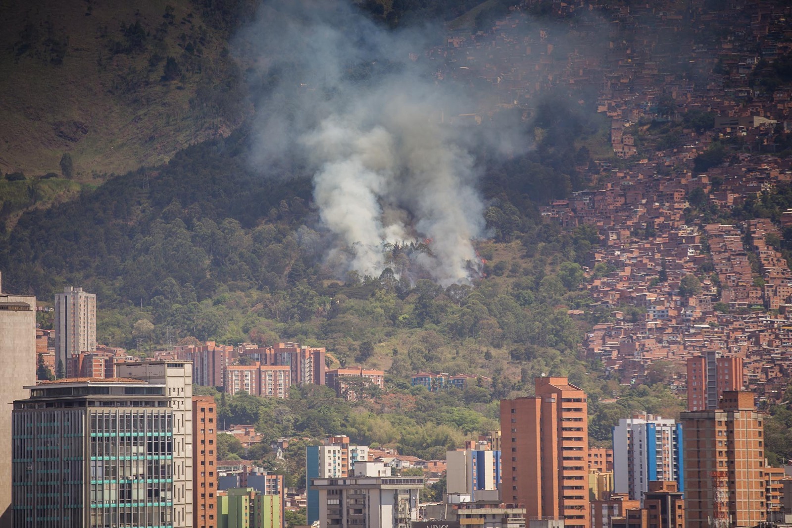 WhatsApp Image 2025-08-06 at 12.14.19 PM