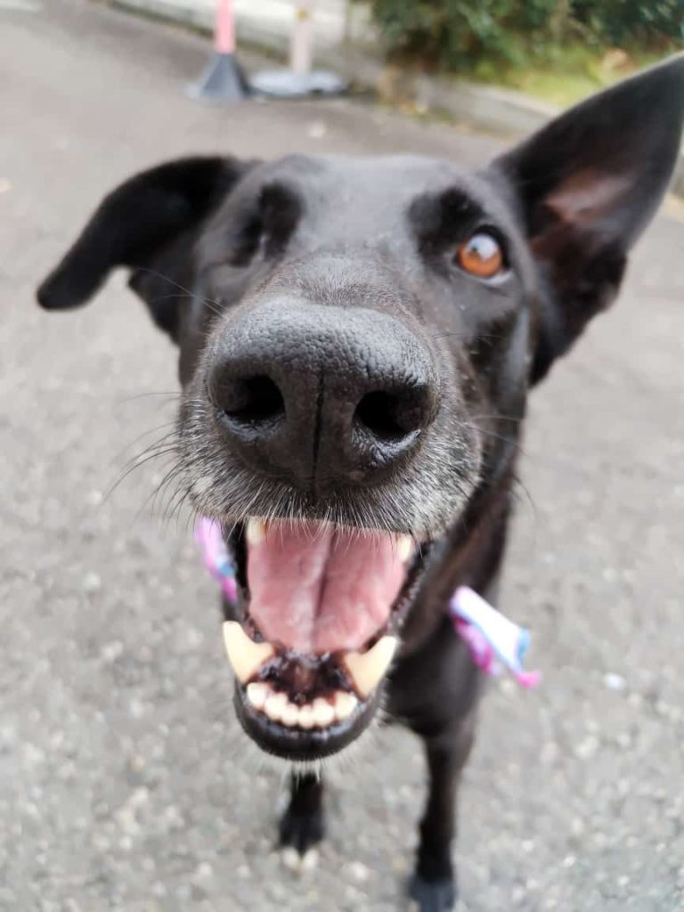 WhatsApp Image 2025 08 20 at 12.02.33 PM