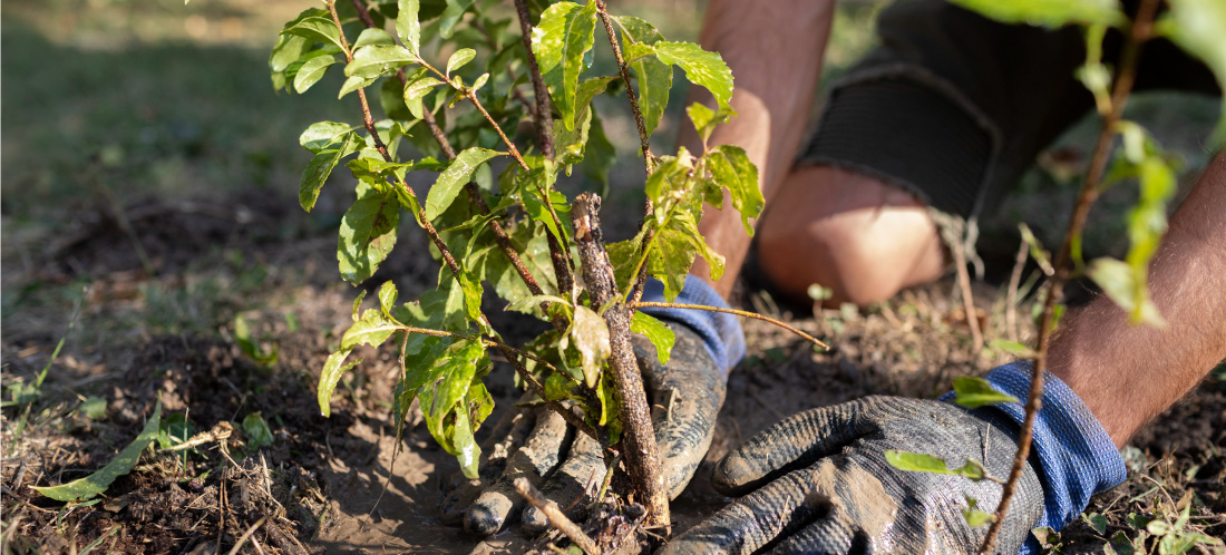 Convocatoria abierta: jóvenes del Oriente podrán formarse como Guardianes del Territorio