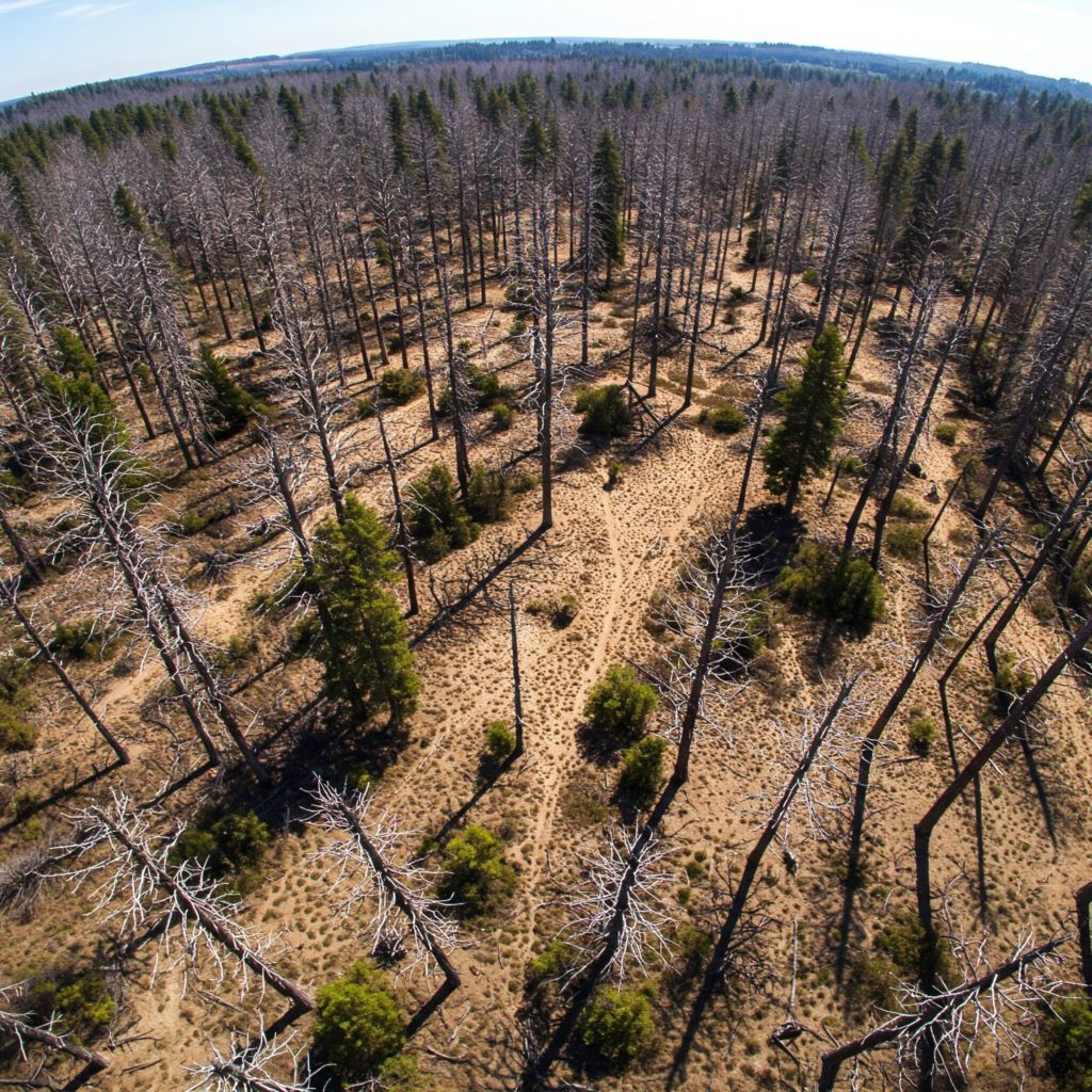 Gemini Generated Image 85x9ja85x9ja85x9