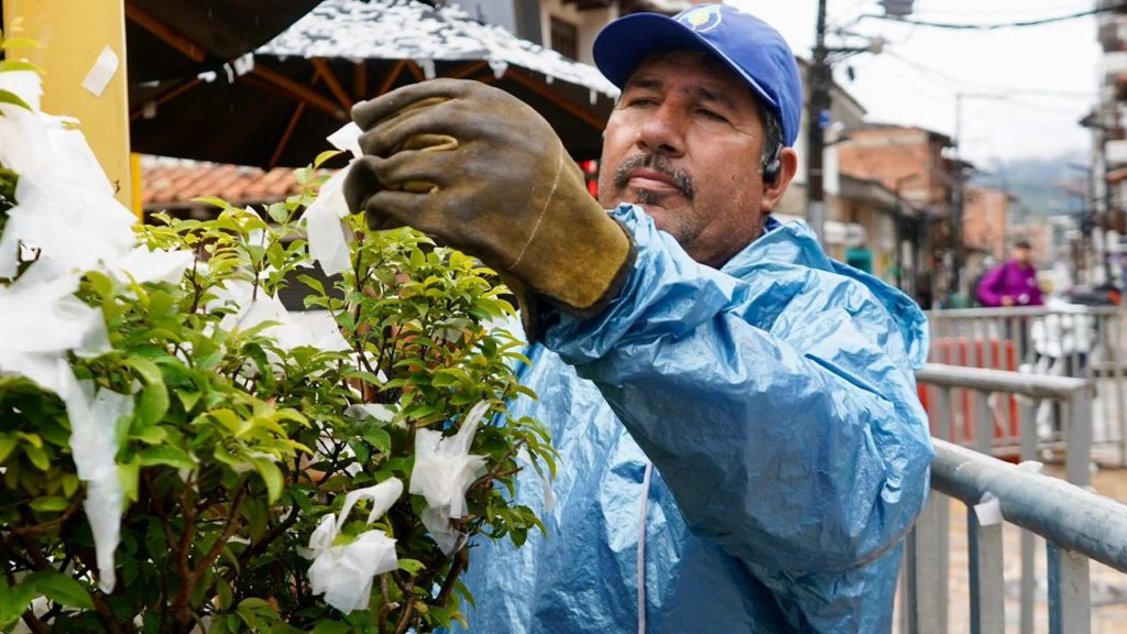 Imagen de WhatsApp 2025 10 15 a las 06.17.05 c9141b3f