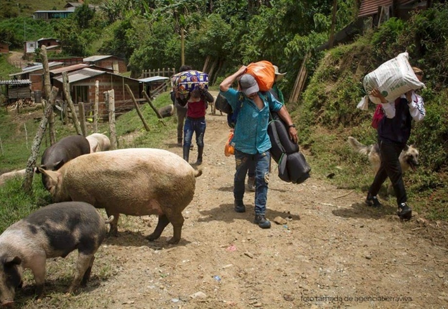 Procuraduría instó al Gobierno a atender a los cerca de 2 500 desplazados tras crisis humanitaria en el Norte de Antioquia