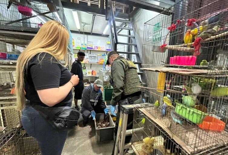 Policia rescato 64 animales en condiciones de maltrato en la Plaza Minorista de Medellin