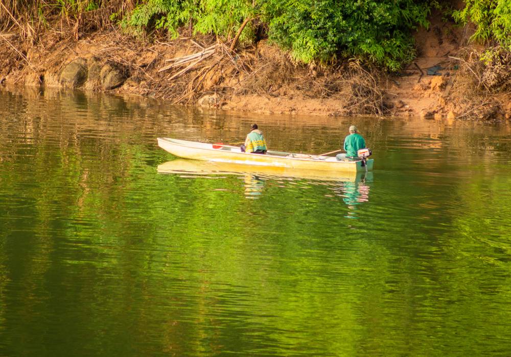 San Carlos Rapido Ochoa