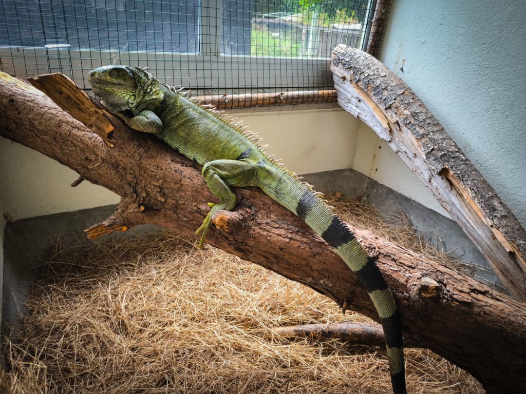 WhatsApp Image 2025 10 02 at 2.31.25 PM 1