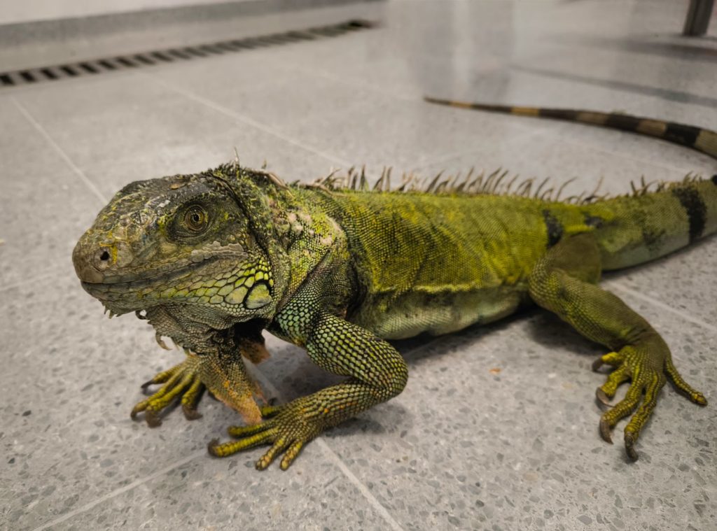 WhatsApp Image 2025 10 02 at 2.31.25 PM