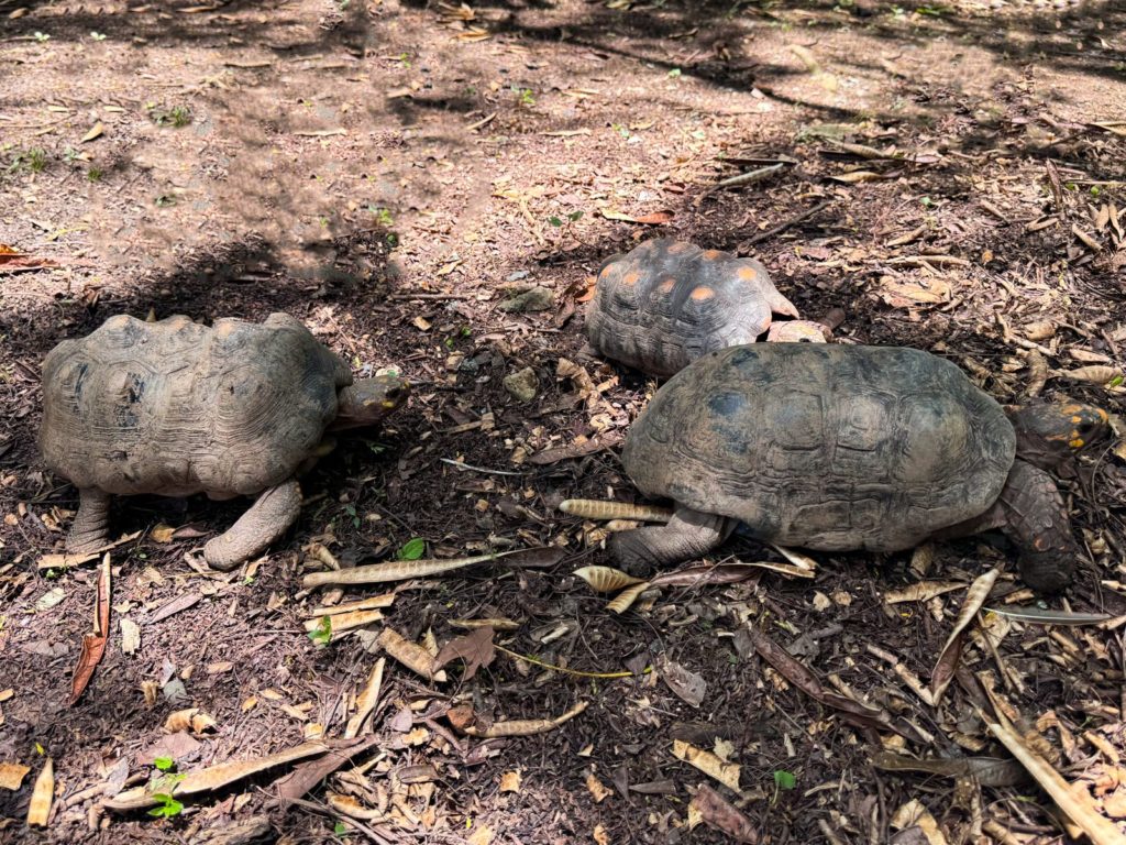 WhatsApp Image 2025 10 02 at 2.31.26 PM 1