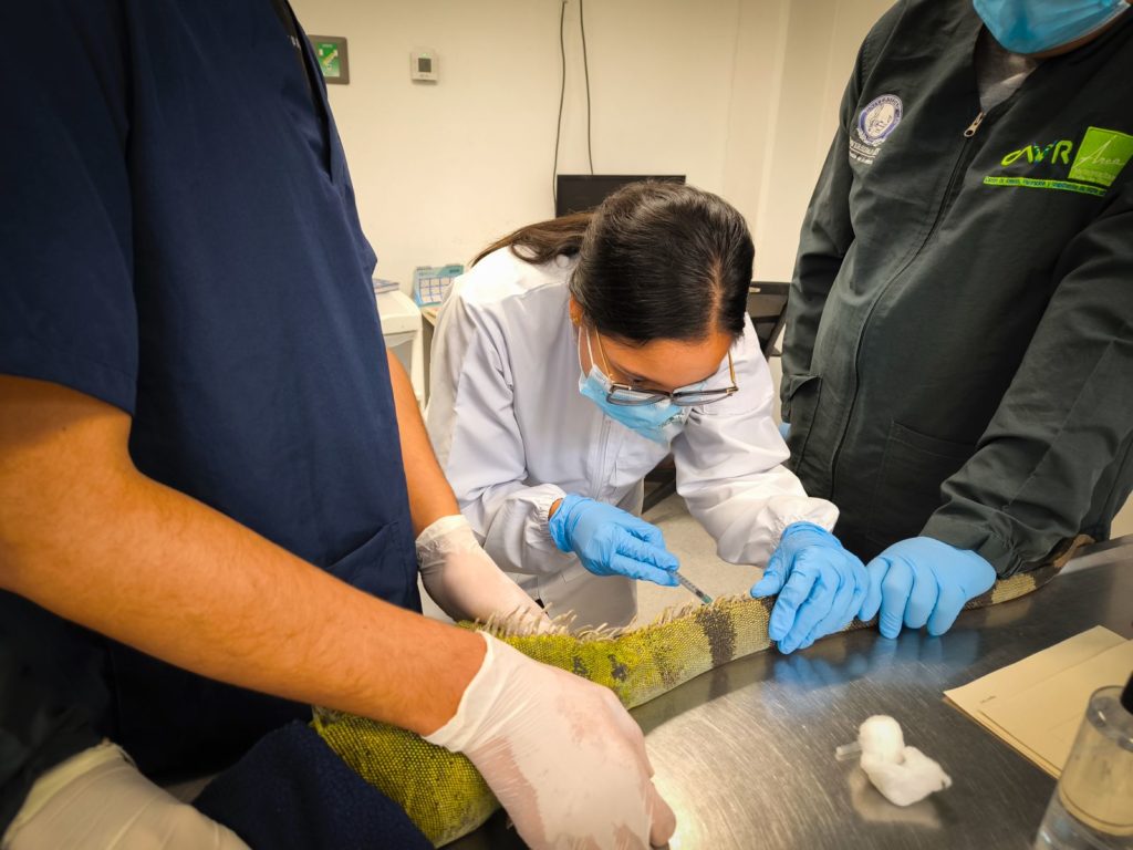 WhatsApp Image 2025 10 02 at 2.31.26 PM