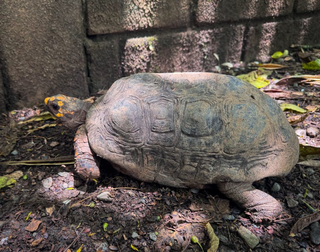 WhatsApp Image 2025 10 02 at 2.31.27 PM