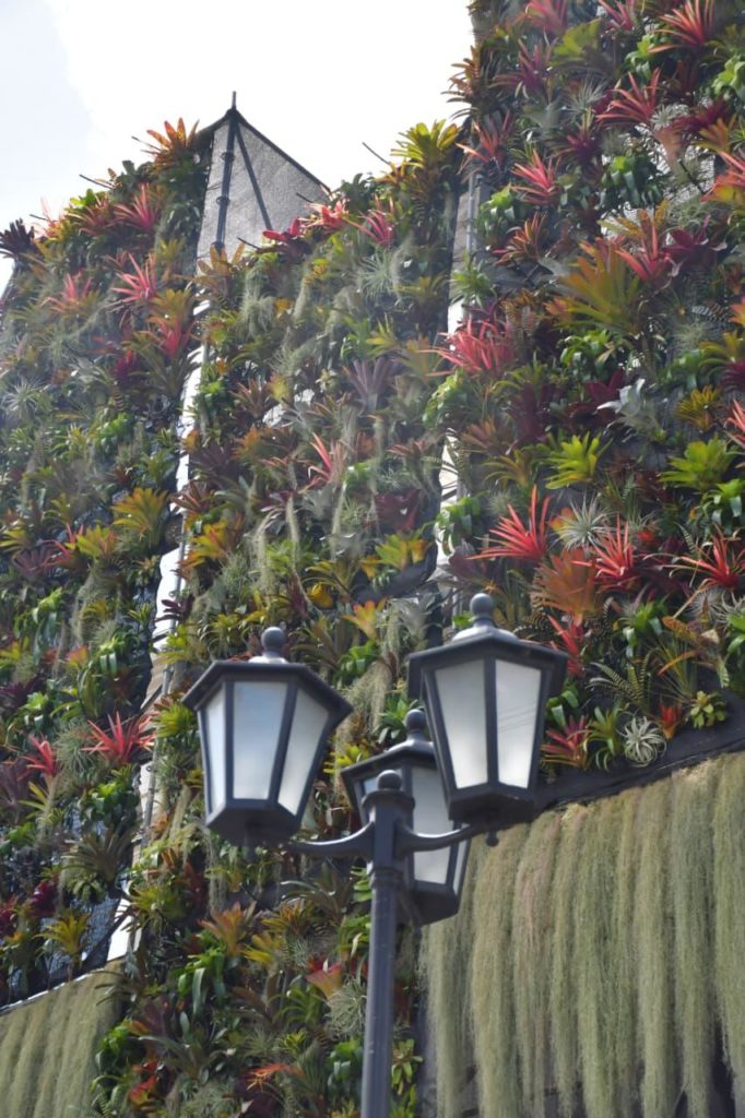 WhatsApp Image 2025 10 02 at 4.28.21 PM 2