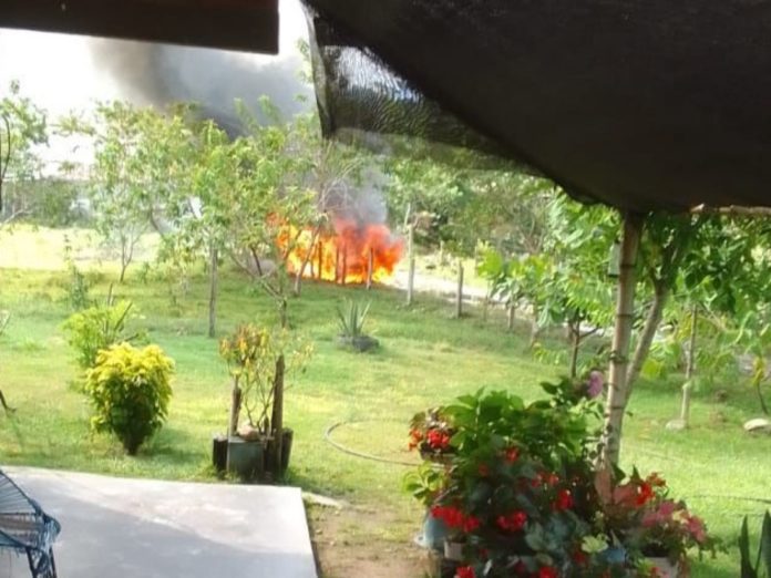 WhatsApp Image 2025-10-13 at 12.02.53 PM