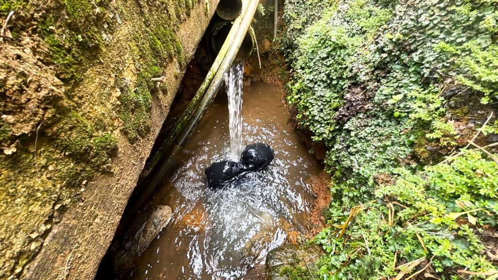 WhatsApp Image 2025 10 15 at 7.00.47 AM