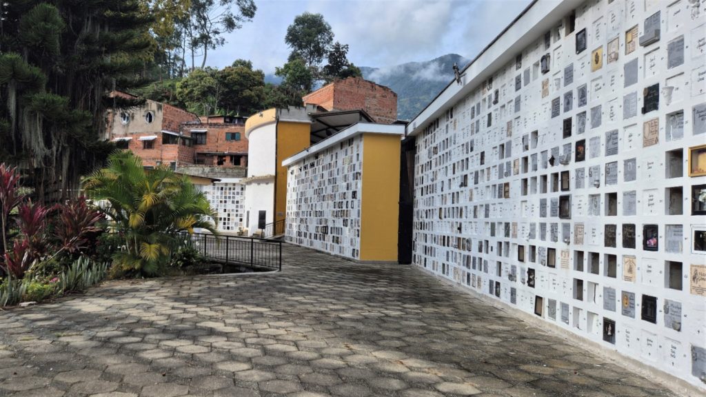 WhatsApp Image 2025 10 20 at 6.06.47 AM 1