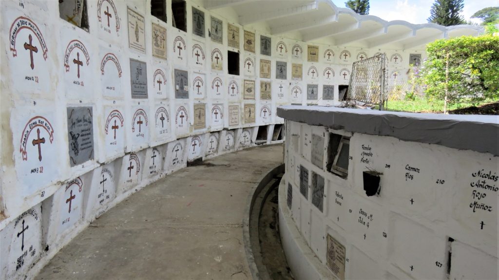 WhatsApp Image 2025 10 20 at 6.06.48 AM 1