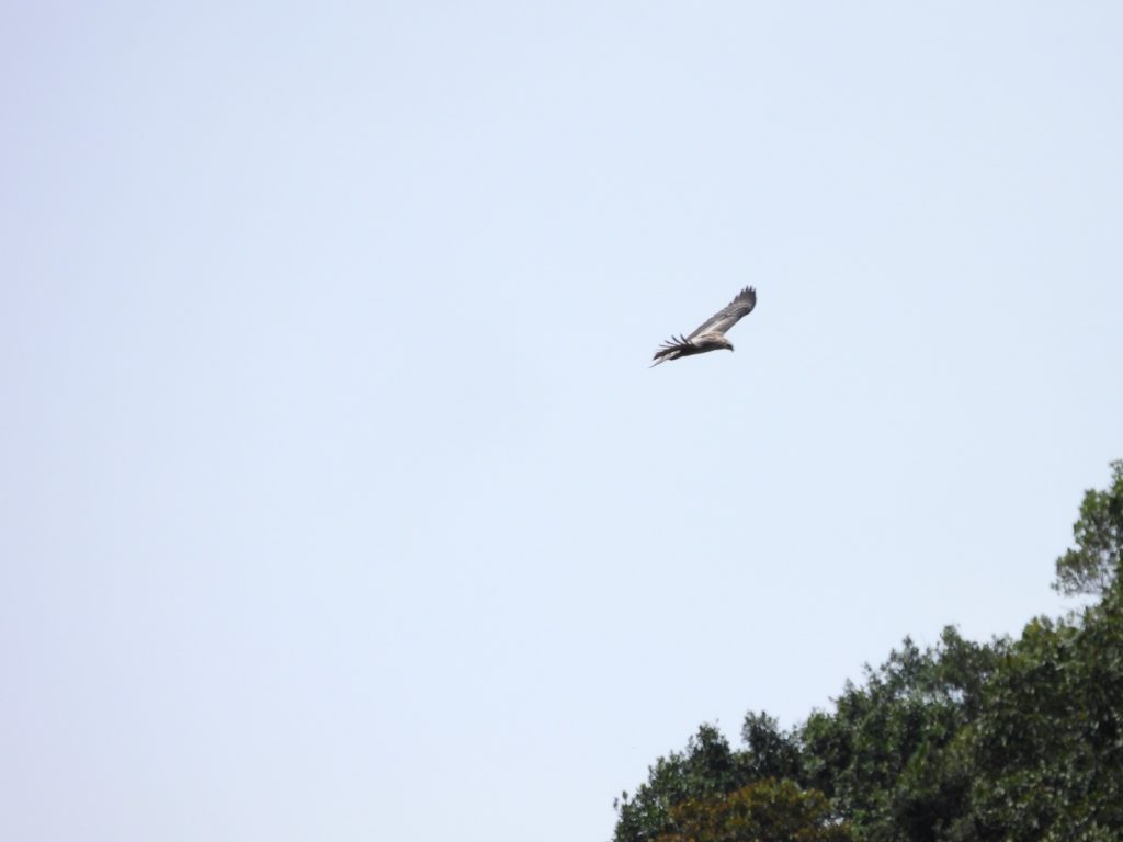 WhatsApp Image 2025 10 22 at 6.59.56 AM 1