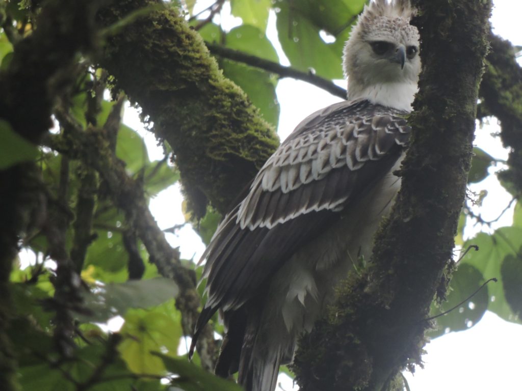 WhatsApp Image 2025 10 22 at 6.59.56 AM