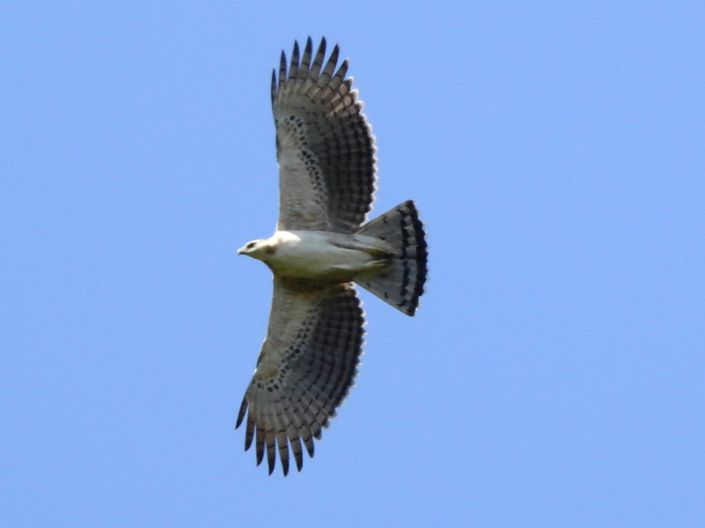 WhatsApp Image 2025 10 22 at 6.59.56 AM 2