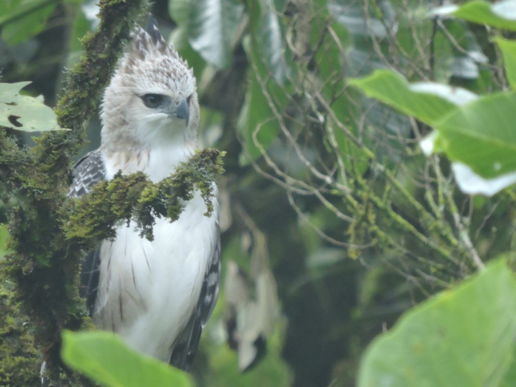 WhatsApp Image 2025 10 22 at 6.59.57 AM