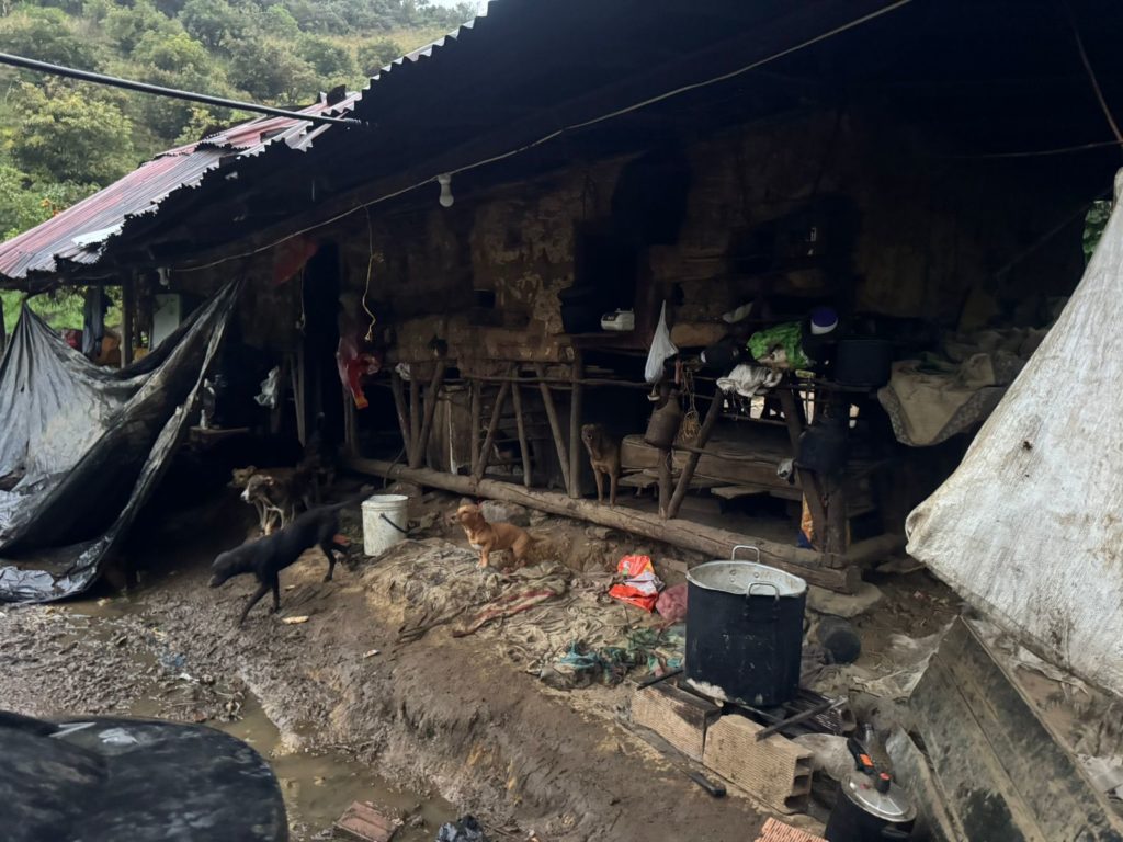 WhatsApp Image 2025 10 24 at 6.39.09 AM