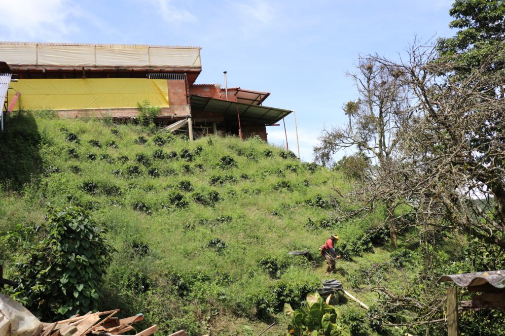 WhatsApp Image 2025 10 24 at 9.51.53 AM