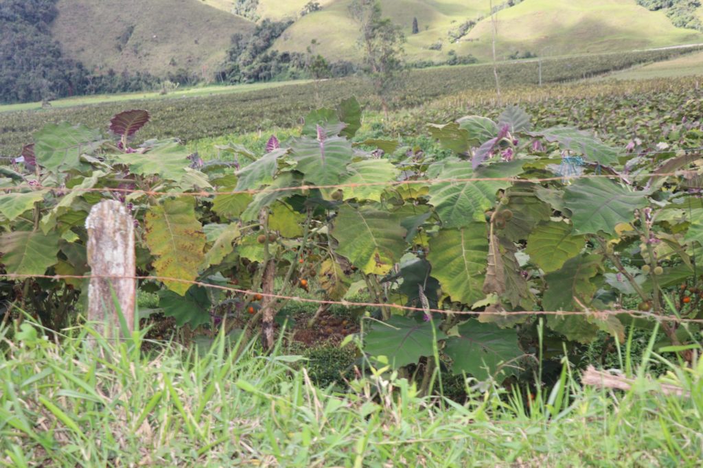 WhatsApp Image 2025 10 24 at 9.51.54 AM 1