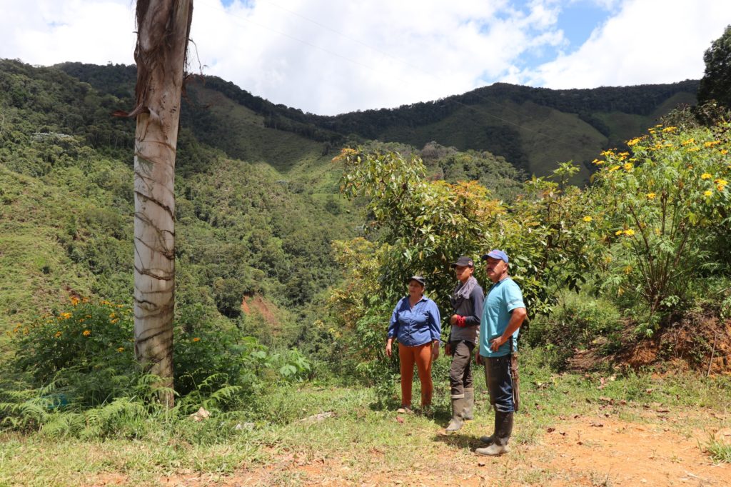 WhatsApp Image 2025 10 24 at 9.51.54 AM 3