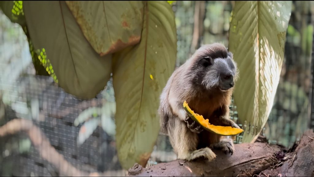 WhatsApp Image 2025 10 27 at 10.48.06 AM 1