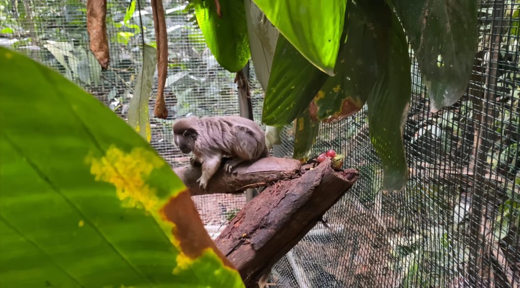 WhatsApp Image 2025 10 27 at 10.48.06 AM