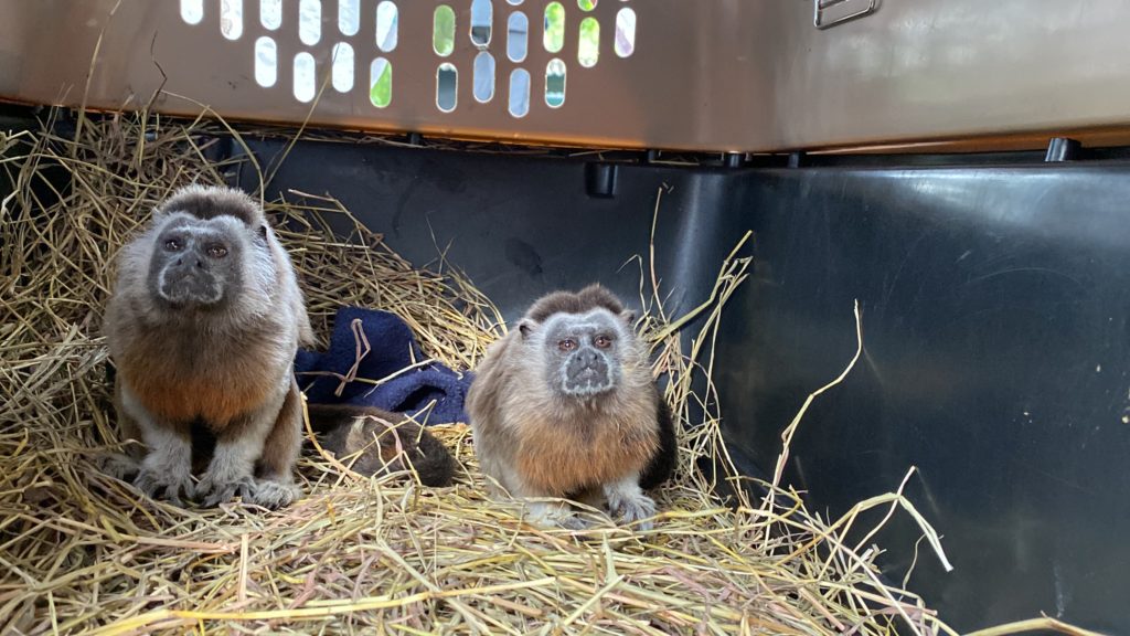 WhatsApp Image 2025 10 27 at 10.48.07 AM