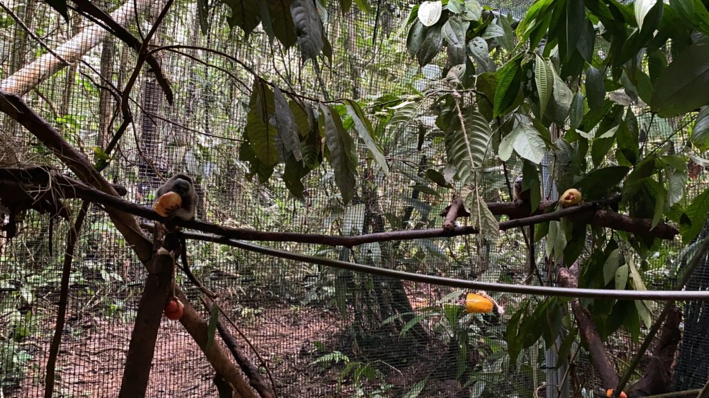 WhatsApp Image 2025 10 27 at 10.48.07 AM 2