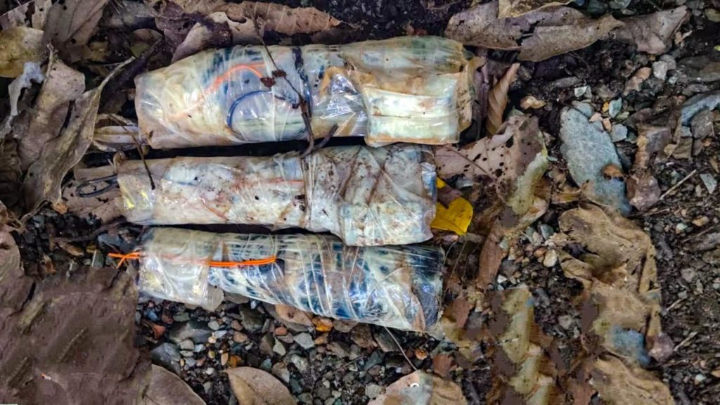 WhatsApp Image 2025 10 27 at 12.01.32 PM