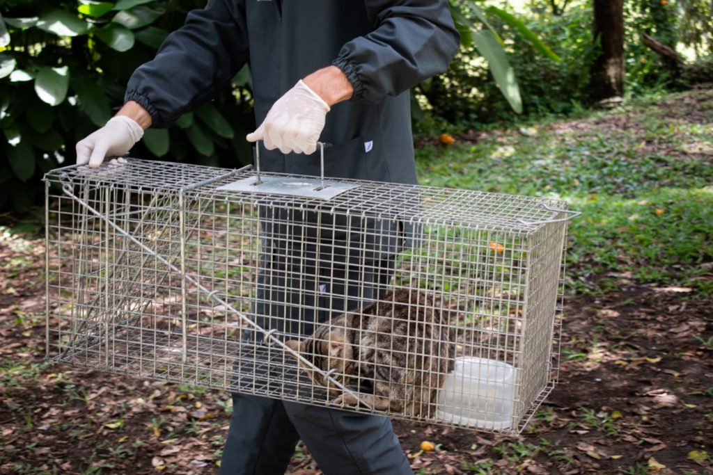 WhatsApp Image 2025 10 28 at 5.54.14 PM