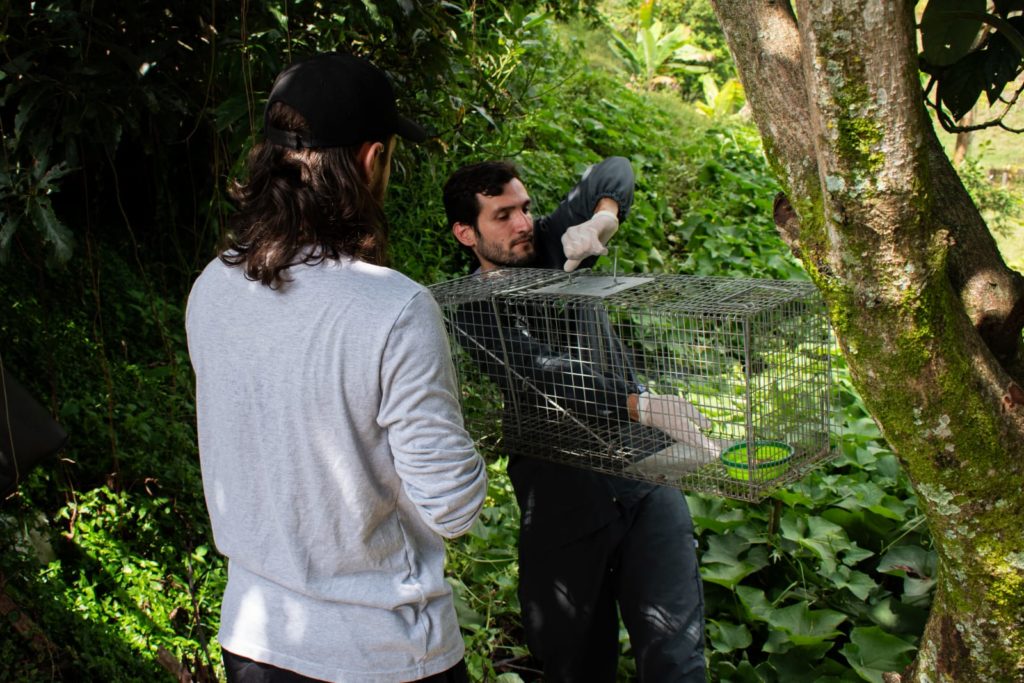 WhatsApp Image 2025 10 28 at 5.54.20 PM