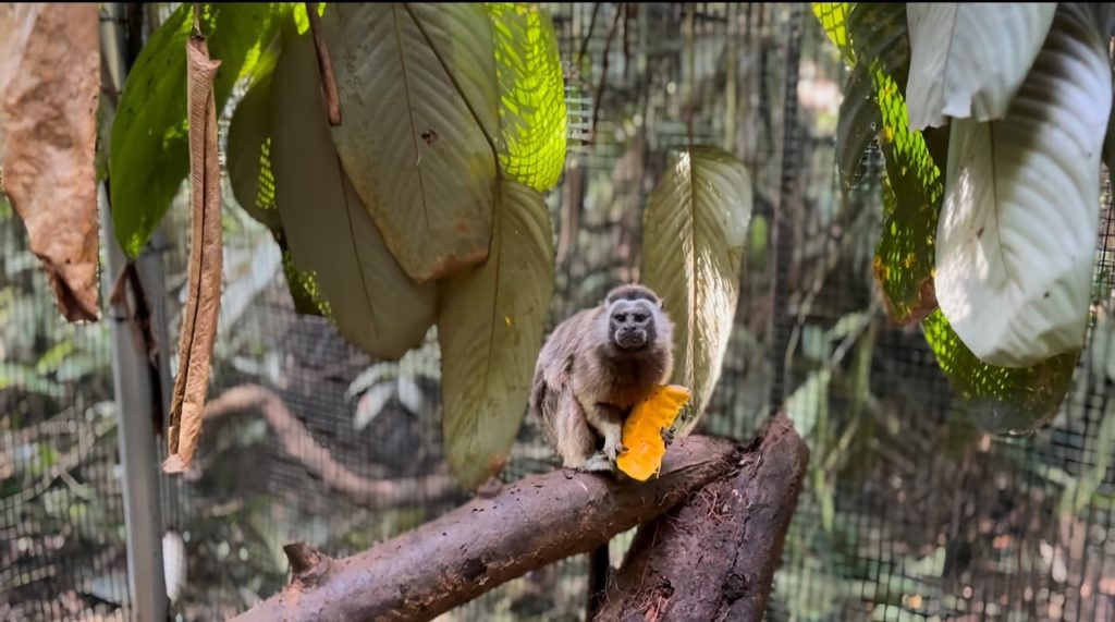 WhatsApp Image 2025 10 29 at 6.05.30 AM