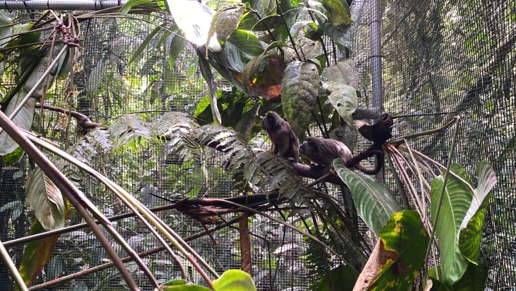 WhatsApp Image 2025 10 29 at 6.05.30 AM 4