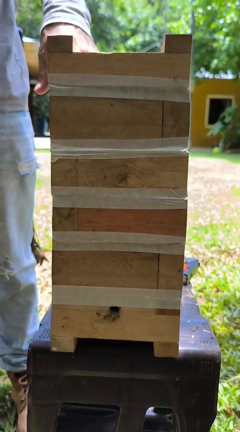 WhatsApp Image 2025 10 30 at 7.28.29 AM 1