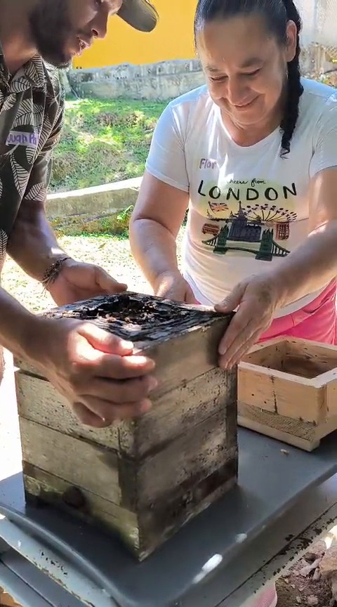 ALIÓN impulsa proyecto de meliponicultura que beneficia a 44 familias en el Oriente Antioqueño