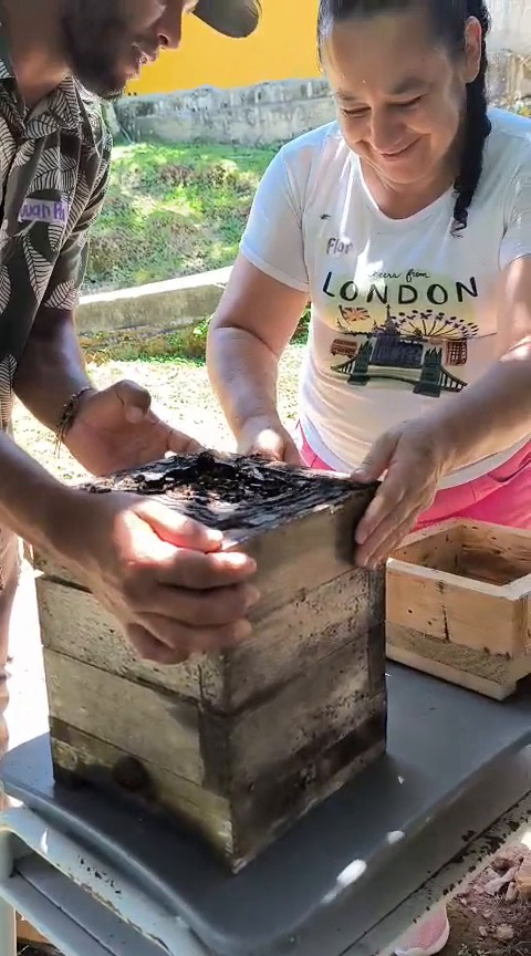 WhatsApp Image 2025 10 30 at 7.28.29 AM 3