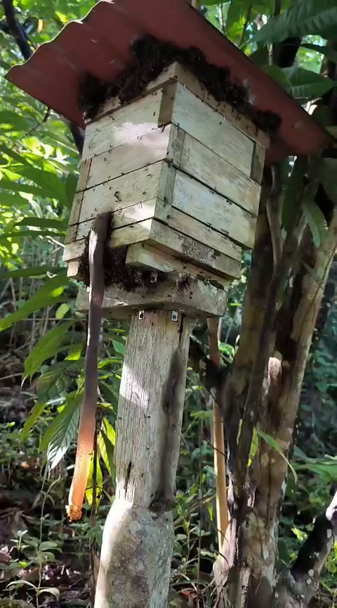 WhatsApp Image 2025 10 30 at 7.28.29 AM 4