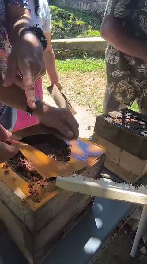 WhatsApp Image 2025 10 30 at 7.28.29 AM