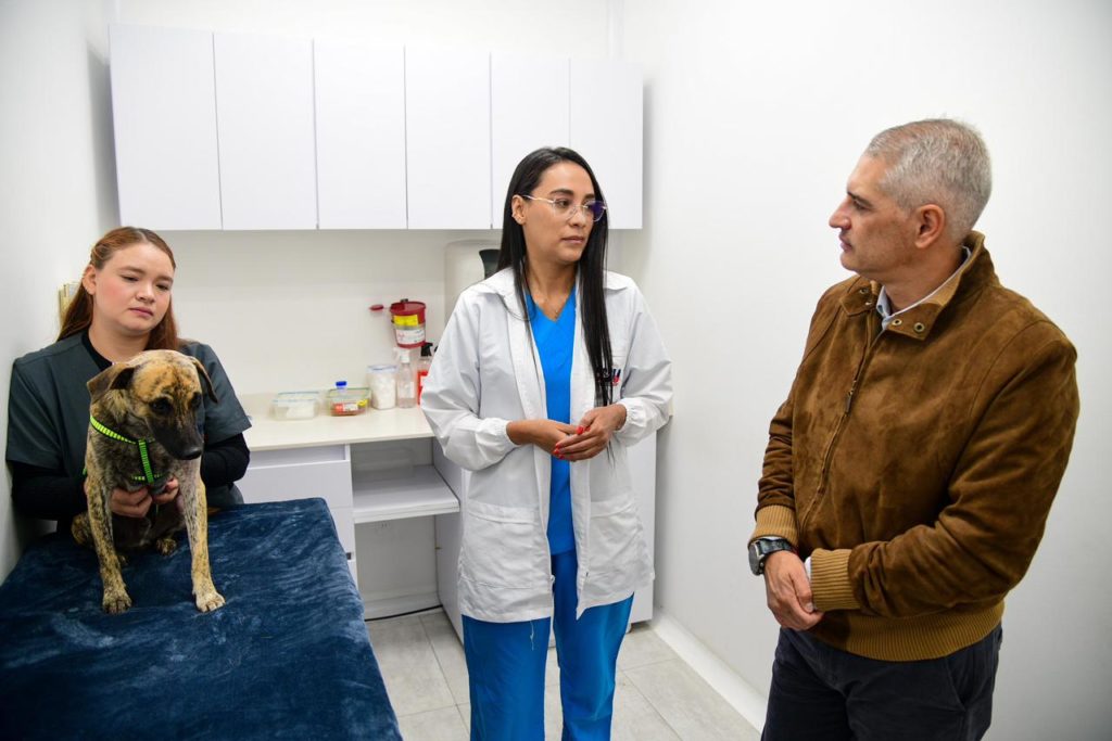 65382771 7426 4fa3 b5bf 4736882021e8