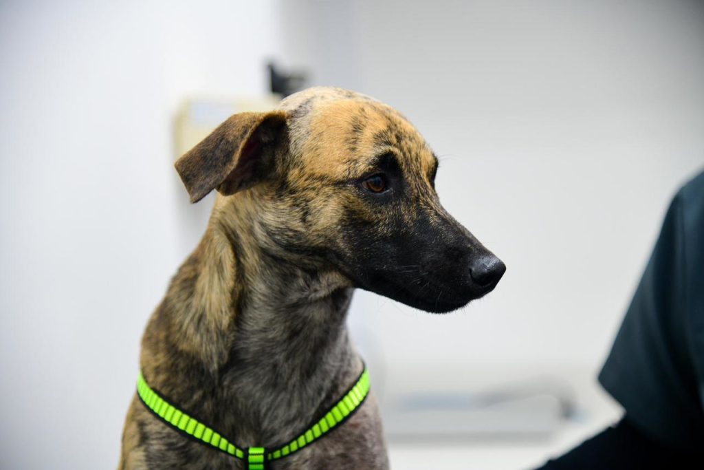 7196f00e b5cd 43e7 b82f bb364df3443c