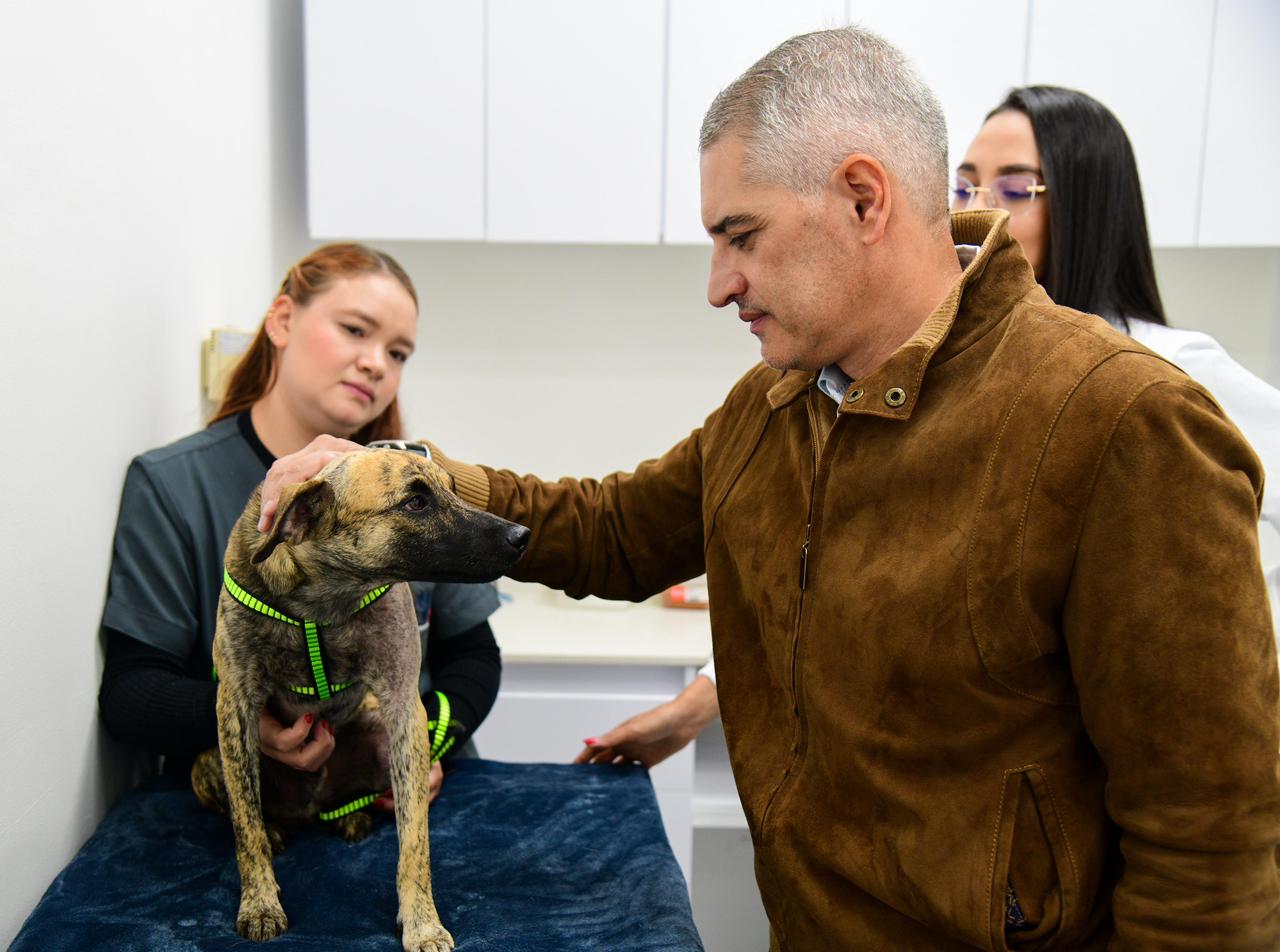 Gobernador de Antioquia visitó a Bizcocho, perro víctima de maltrato animal