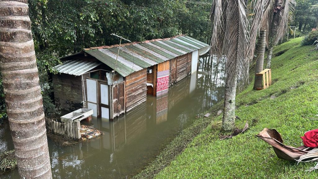 Imagen de WhatsApp 2025 11 04 a las 15.52.03 30e5869a