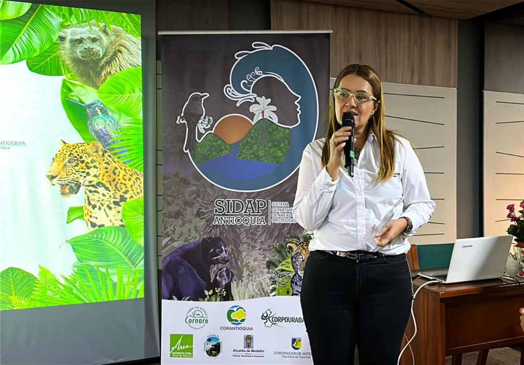 Imagen de WhatsApp 2025 11 17 a las 17.16.29 9977cd7f