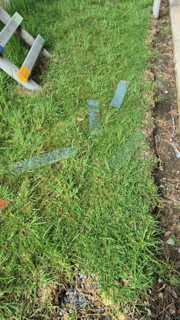 WhatsApp Image 2025 11 04 at 11.01.00 AM