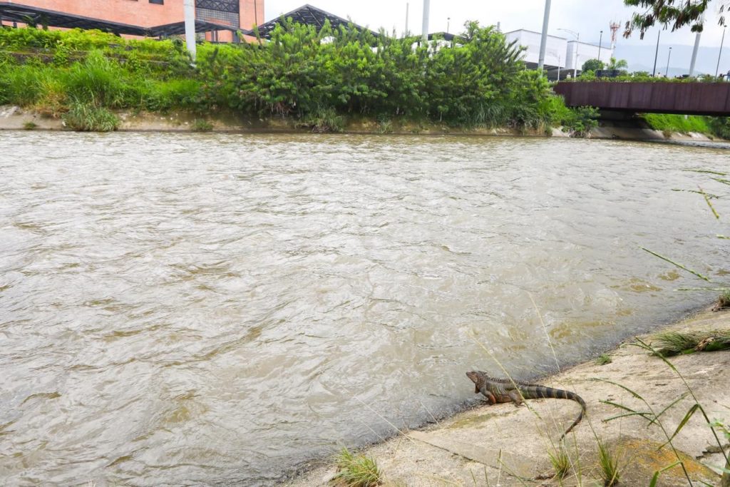 WhatsApp Image 2025 11 04 at 11.53.37 AM