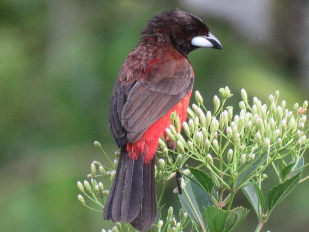 WhatsApp Image 2025 11 04 at 12.28.07 PM 2