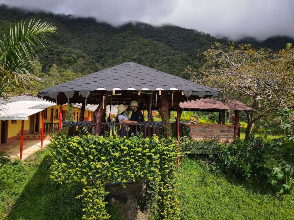 WhatsApp Image 2025 11 04 at 12.29.07 PM